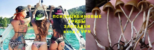 не бодяженный Армянск