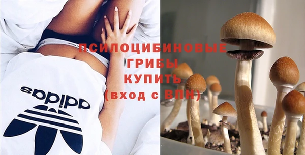 не бодяженный Армянск