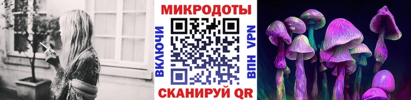 Псилоцибиновые грибы Cubensis  Короча 